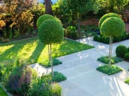 Landscape Design Ideas to Beautify Your Home