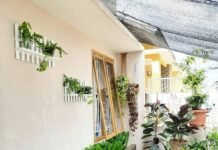 Beautifully Landscaped Home Gardens