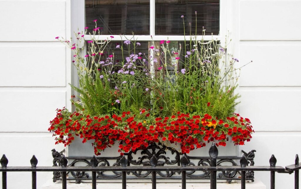 Window Decoration Ideas