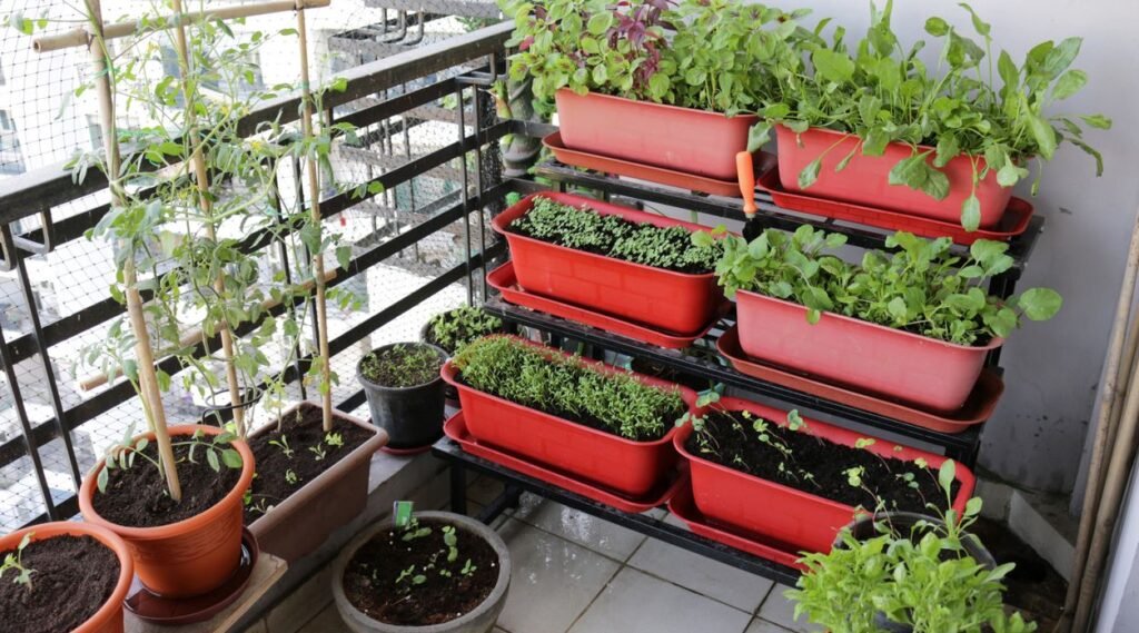 Simple Terrace Garden Ideas