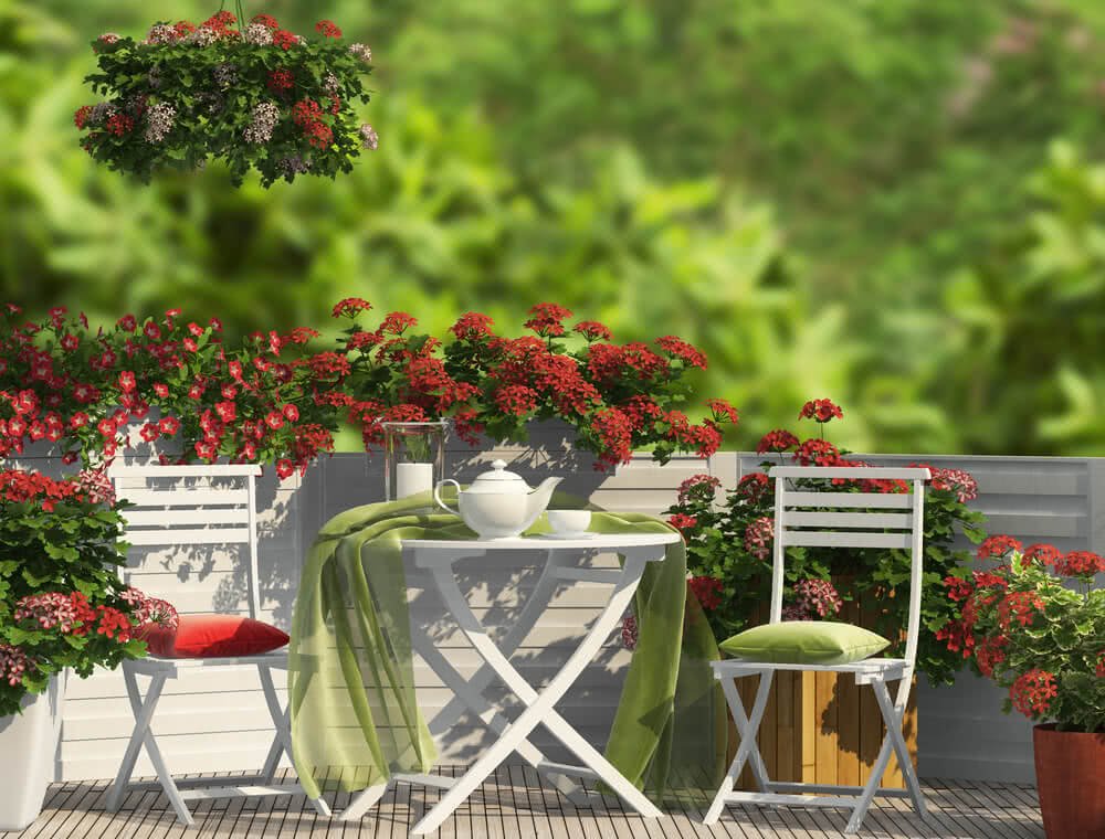 Types Of Terrace Gardening Ideas