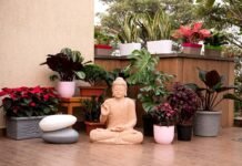 22 Low Budget Terrace Garden Ideas