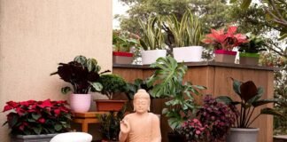 22 Low Budget Terrace Garden Ideas