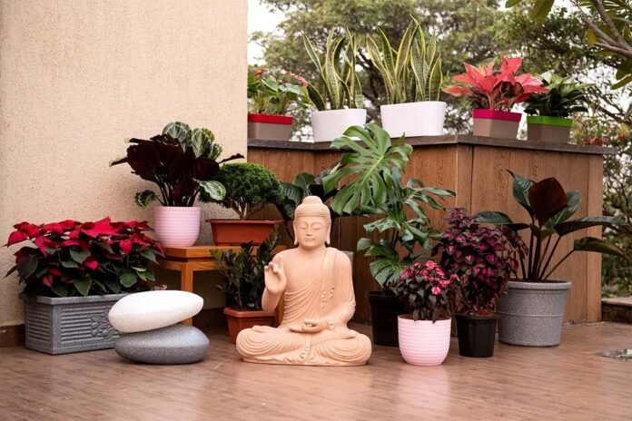 Low Budget Terrace Garden Ideas