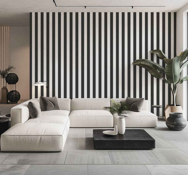 Black and White Wall Colour