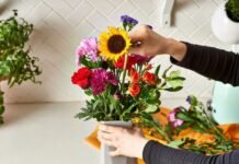How to Keep Cut Flowers Fresh