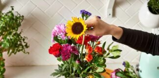 How to Keep Cut Flowers Fresh