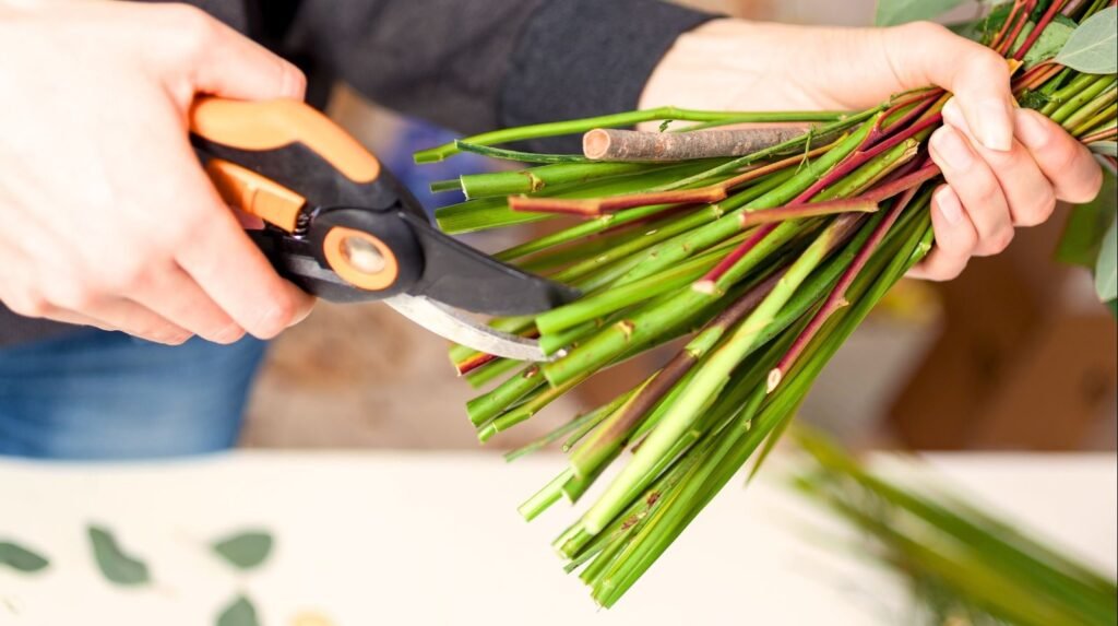 How to Keep Cut Flowers Fresh