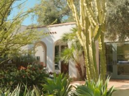 Low-Maintenance Drought-Tolerant Front Yard Landscaping Concepts for Suburban Homes Modern drought tolerant front yard landscaping with gravel walkways native perennials and architectural succulents