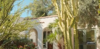 Low-Maintenance Drought-Tolerant Front Yard Landscaping Concepts for Suburban Homes Modern drought tolerant front yard landscaping with gravel walkways native perennials and architectural succulents