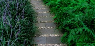 Modern Flagstone Walkway and Pea Gravel Garden Pathways for Outdoor Living Natural flagstone walkway set in pea gravel garden pathway surrounded by lush residential plantings