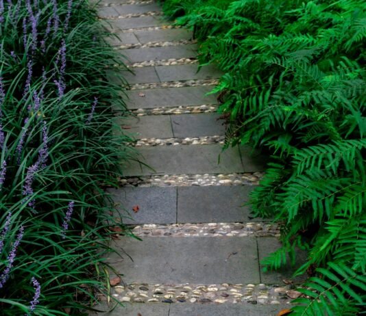 Modern Flagstone Walkway and Pea Gravel Garden Pathways for Outdoor Living Natural flagstone walkway set in pea gravel garden pathway surrounded by lush residential plantings